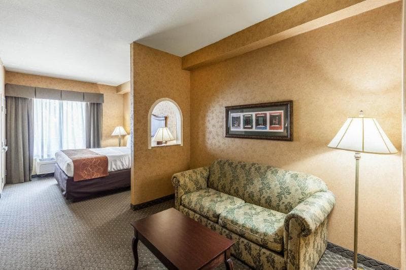 Comfort Suites Alamo/River walk 5