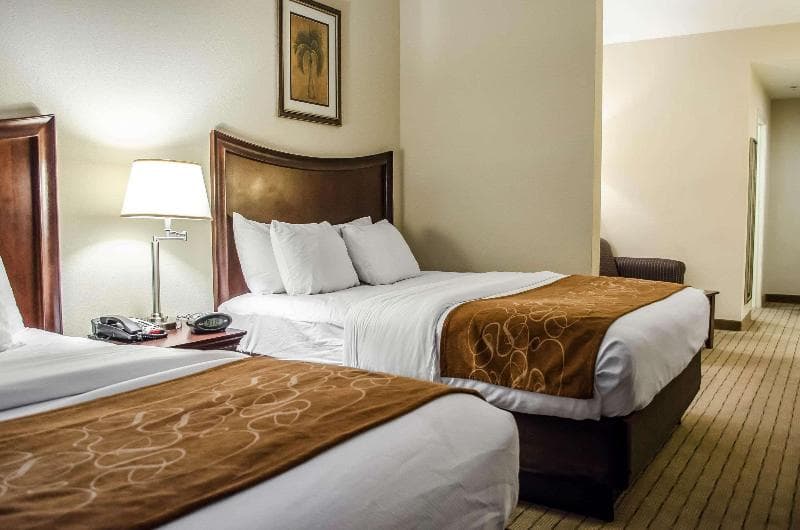 Comfort Suites Mobile 2