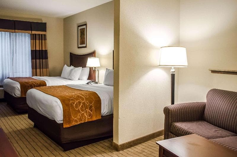 Comfort Suites Mobile 4