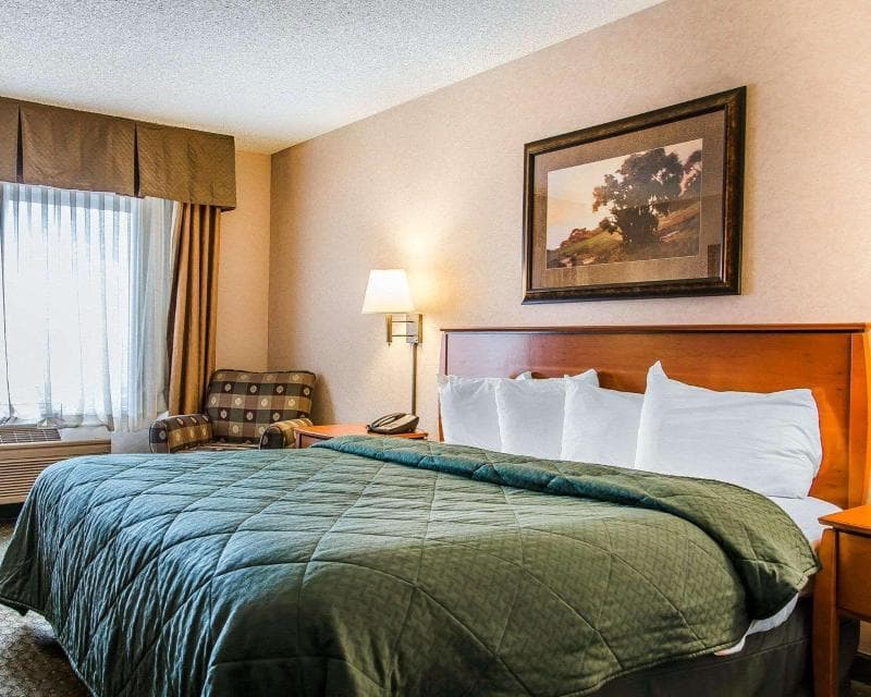 Quality Inn & Suites 2