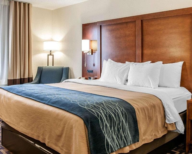 Comfort Inn 4