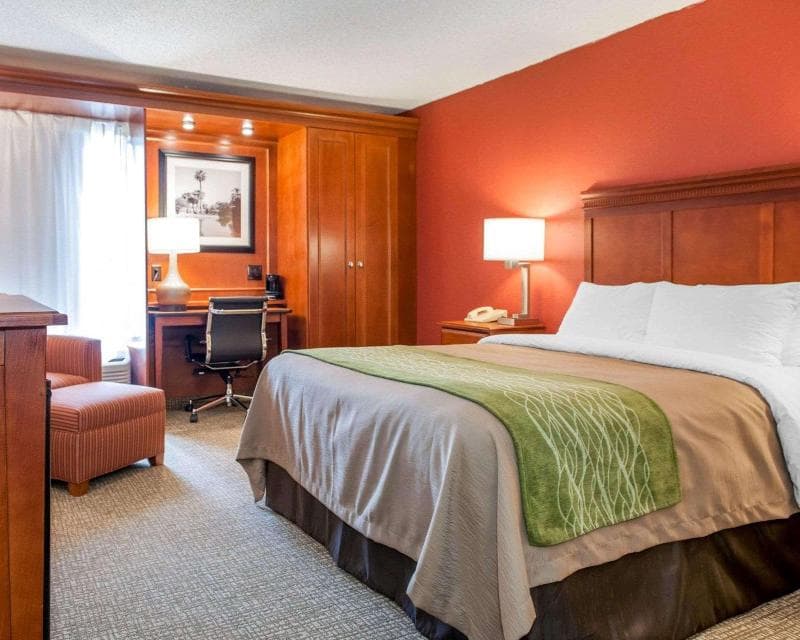 Comfort Inn 2