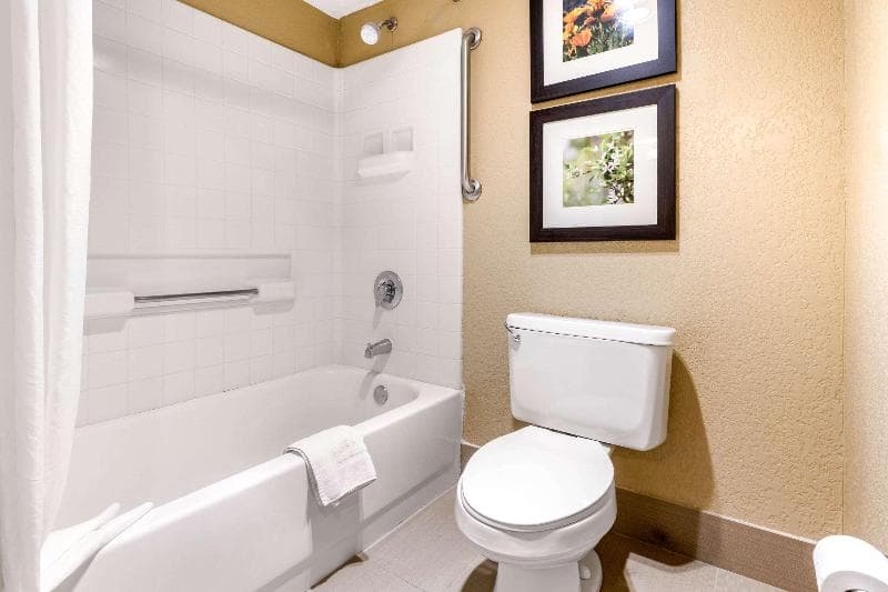 Comfort Inn Lathrop 3