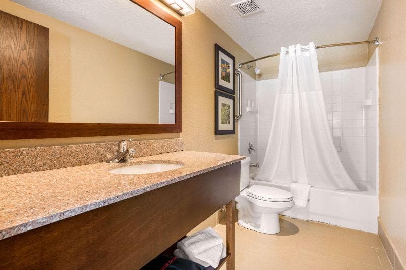 Comfort Inn Lathrop 4