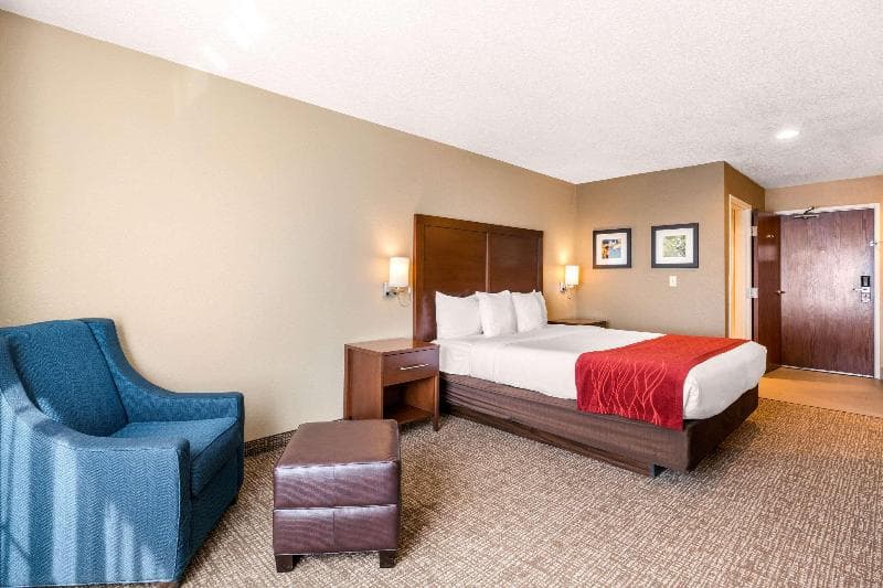 Comfort Inn Lathrop 5