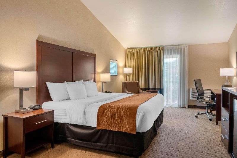 Comfort Inn & Suites 5