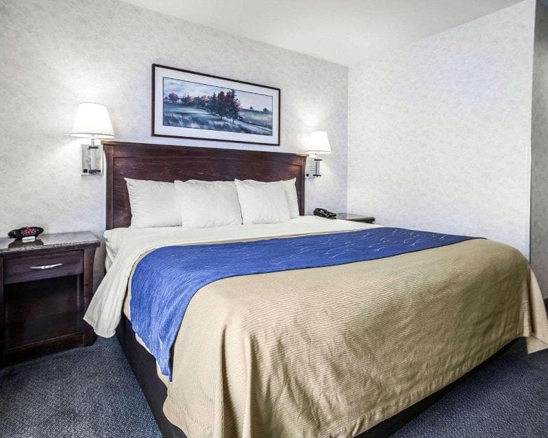 Comfort Inn Bellingham 4