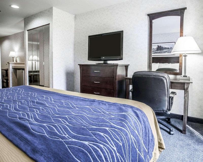 Comfort Inn Bellingham 5