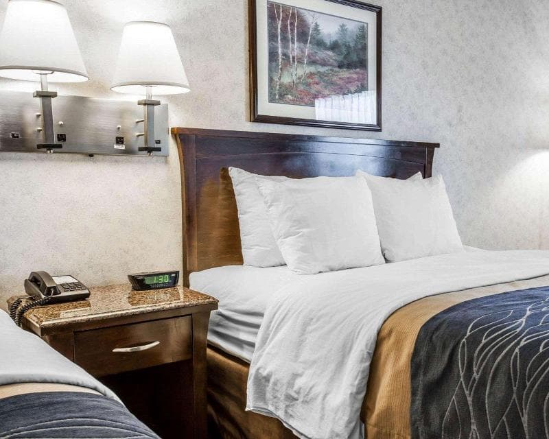 Comfort Inn Bellingham 3