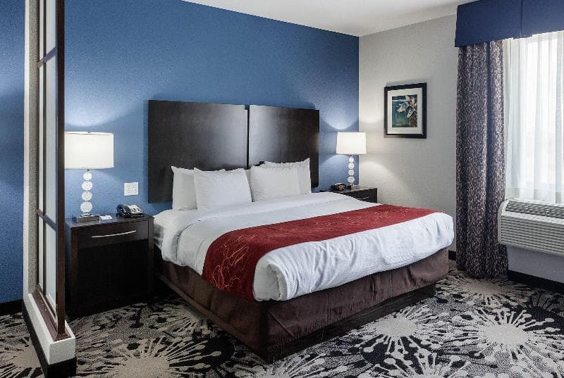 Comfort Suites Greenville 4