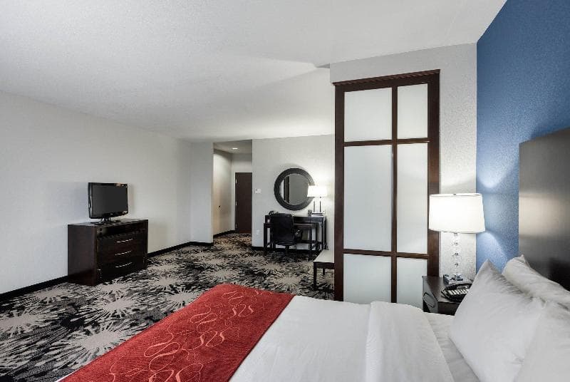 Comfort Suites Greenville 5