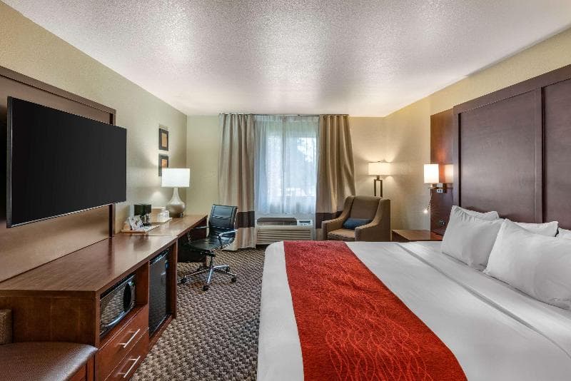 Comfort Inn Cordelia 5