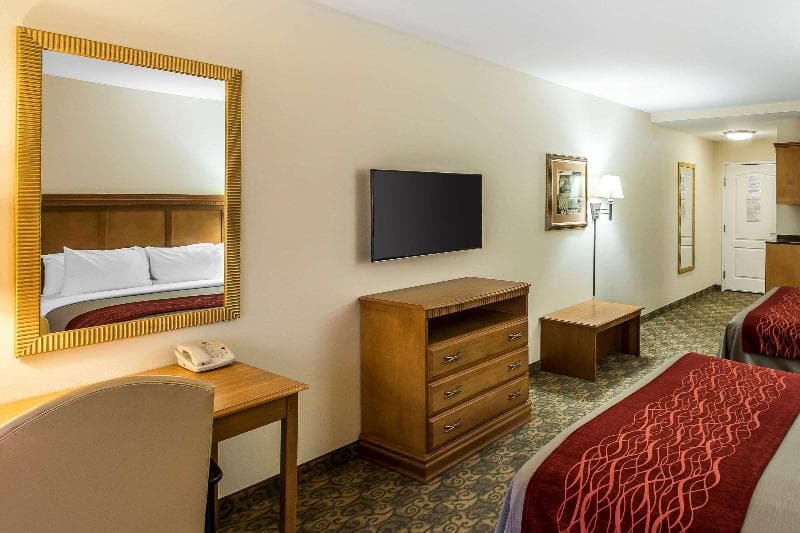Comfort Inn & Suites 5