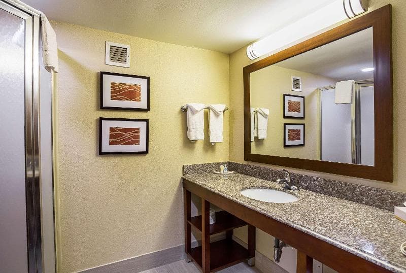 Comfort Inn Baton Rouge 3