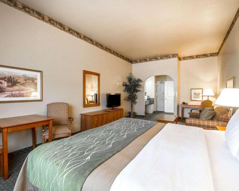 Comfort Inn & Suites Ukiah Mendocino County 4