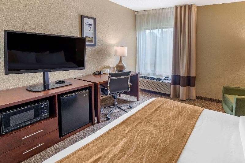 Comfort Inn & Suites 5