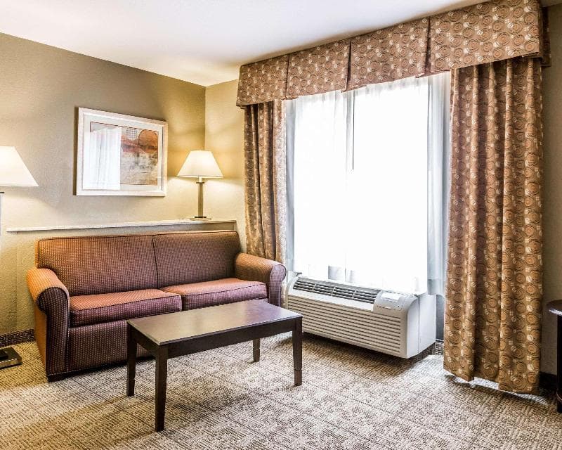 Comfort Suites (Commerce) 4