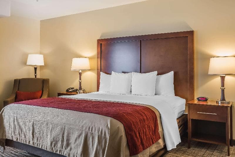 Comfort Inn Pomona Near Fairplex 3