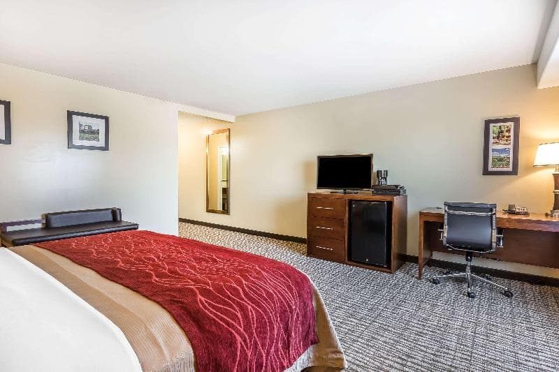 Comfort Inn Pomona Near Fairplex 4