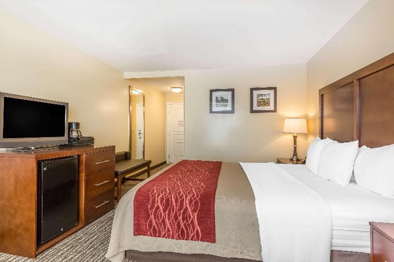 Comfort Inn Pomona Near Fairplex 5