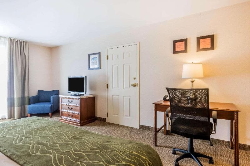 Comfort Inn & Suites photo 1