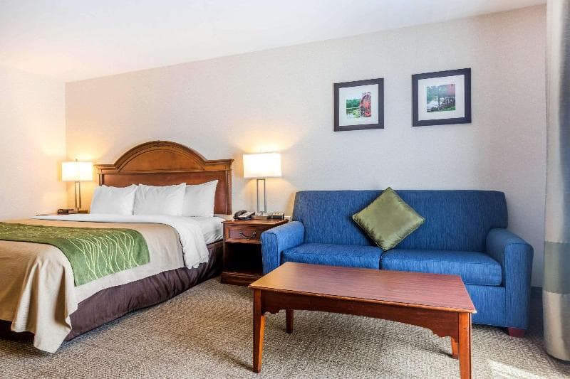 Comfort Inn & Suites 3
