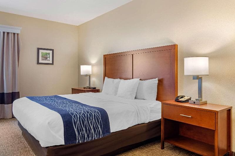 Comfort Inn 2