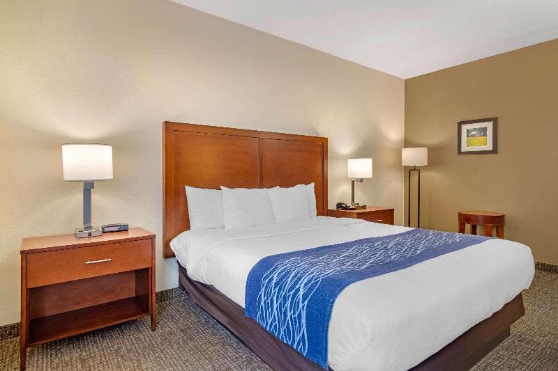 Comfort Inn 3