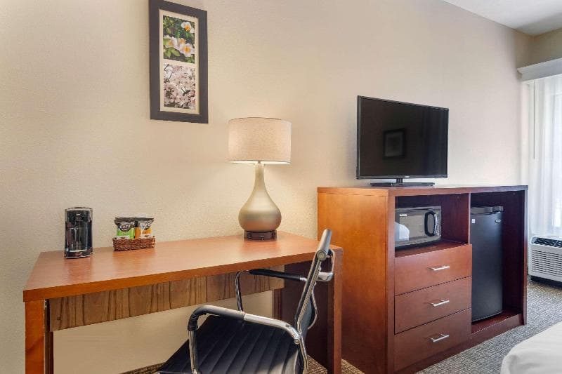 Comfort Inn 4