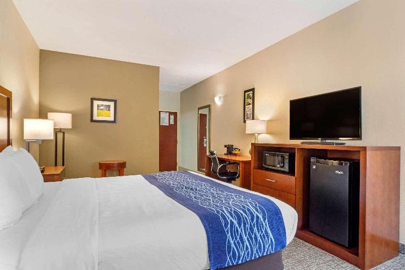 Comfort Inn 5