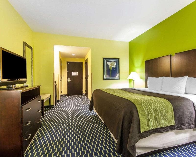 Comfort Inn Athens 3