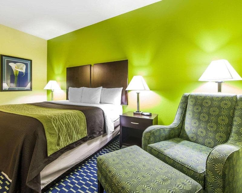 Comfort Inn Athens 4