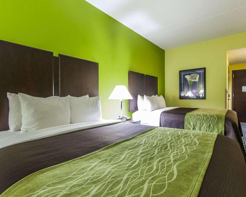 Comfort Inn Athens 5