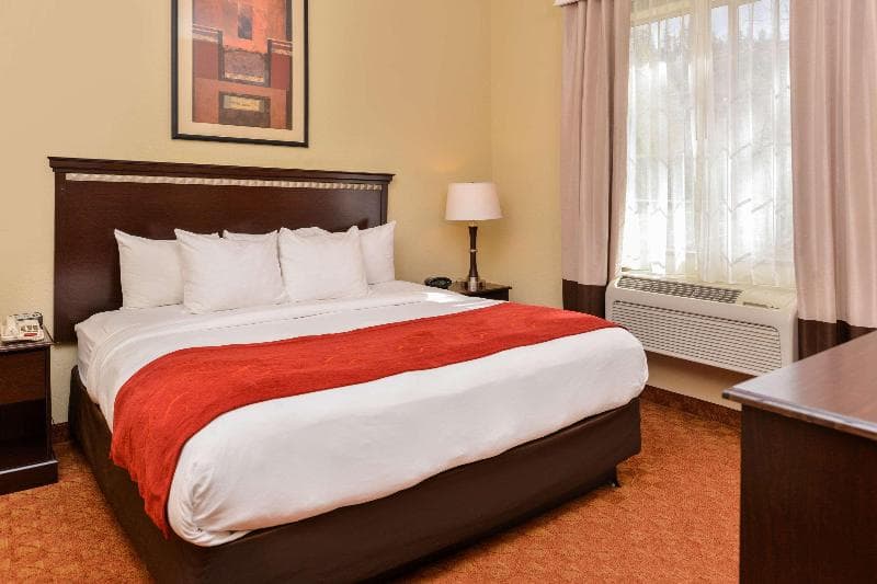 Comfort Suites Eugene 2