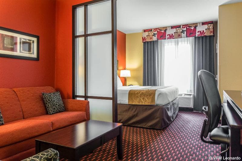 Comfort Suites Florence 4
