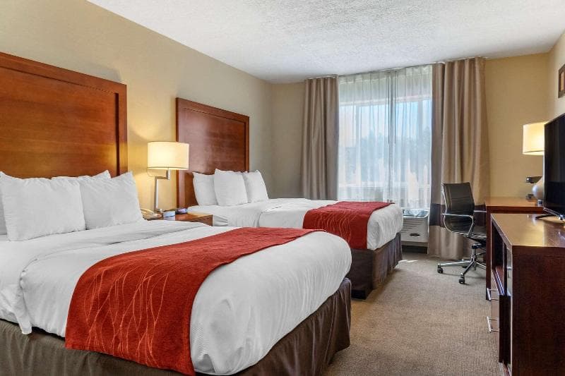 Comfort Inn Albuquerque Airport 5