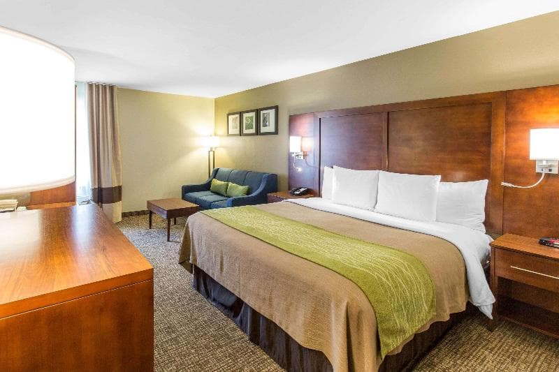 Comfort Inn 3