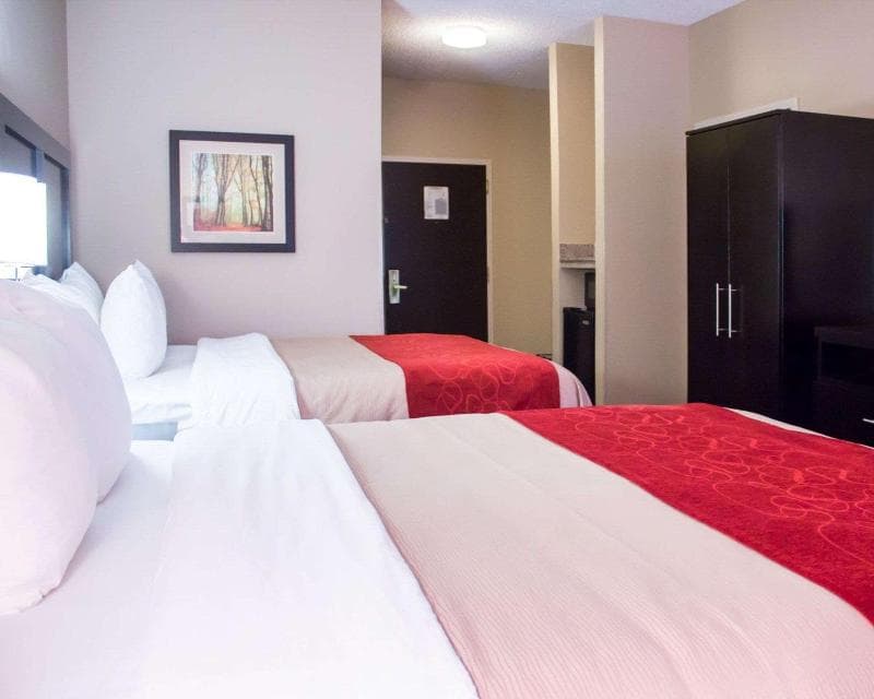Comfort Inn & Suites Trussville I-59 Exit 141 2