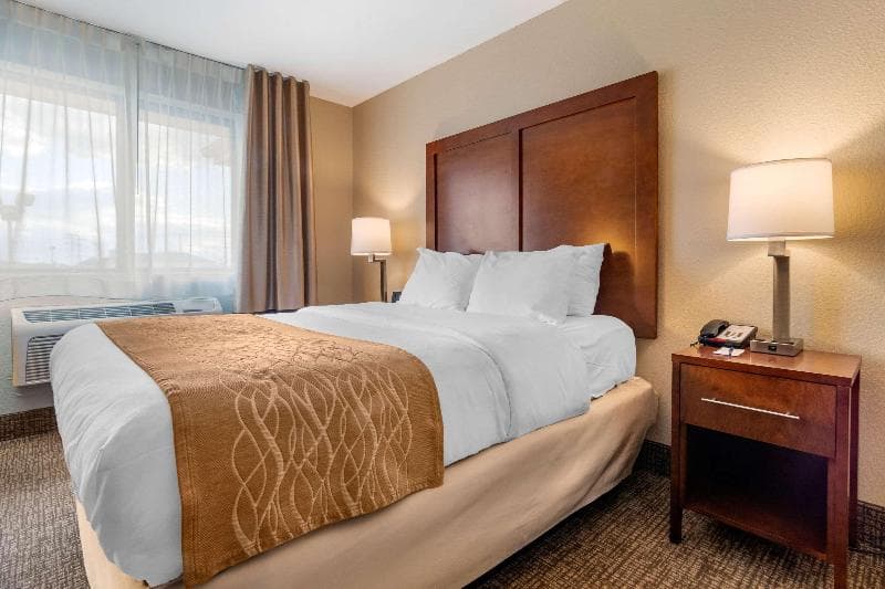 Comfort Inn & Suites 4