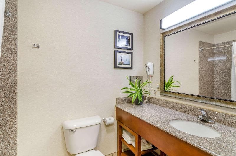 Comfort Inn & Suites near Bethel College 5