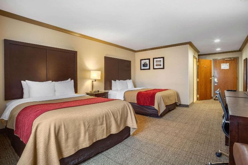 Comfort Inn Castro Valley 3