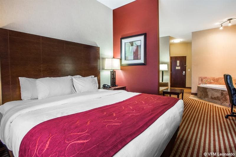 Comfort Suites Troy Area photo 1