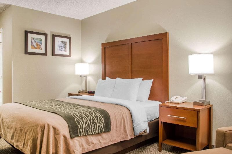 Comfort Inn Idaho Falls 5