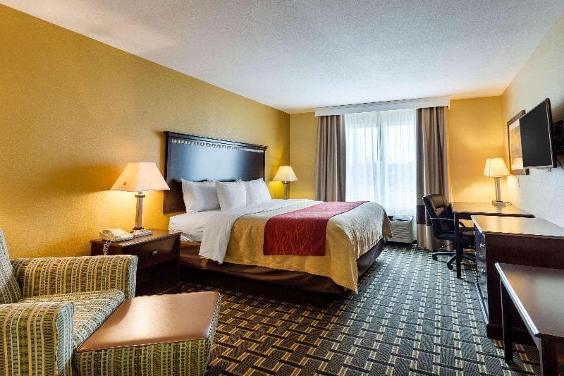 Comfort Inn 3
