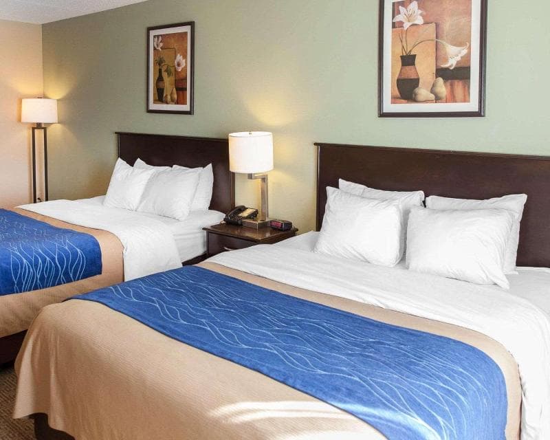 Comfort Inn Near Quantico Main Gate North 2