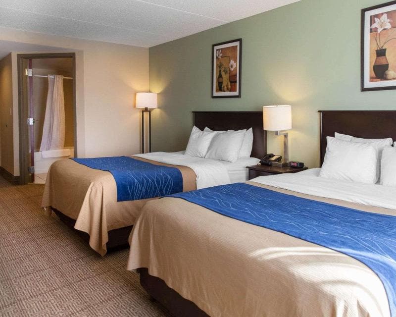 Comfort Inn Near Quantico Main Gate North 5