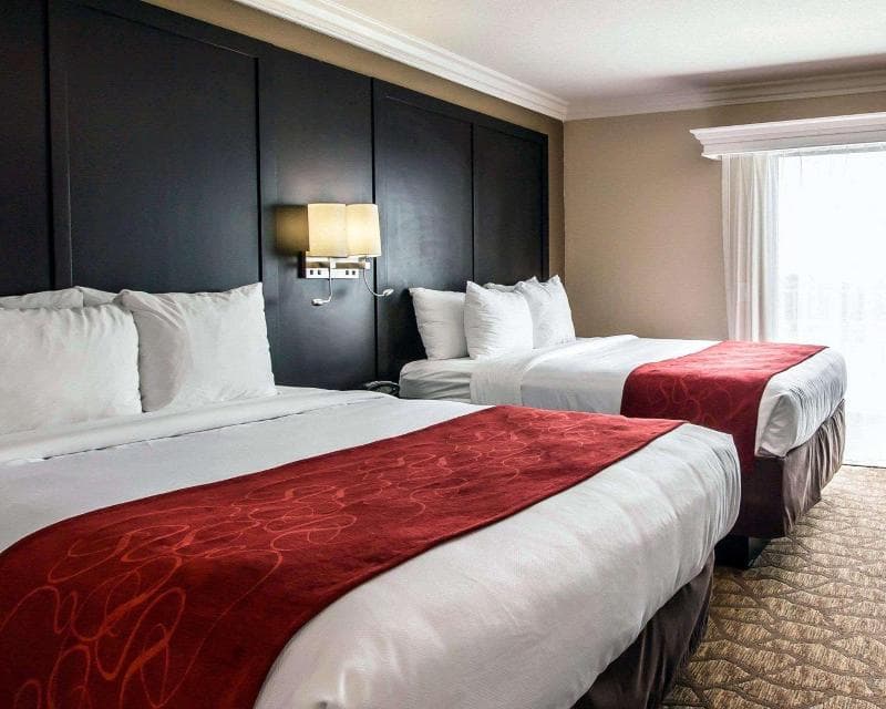 Comfort Suites San Clemente Beach 4
