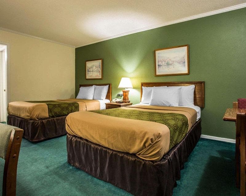 Econo Lodge Saint George, Sc main