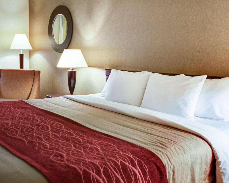 Quality Inn Florence 5