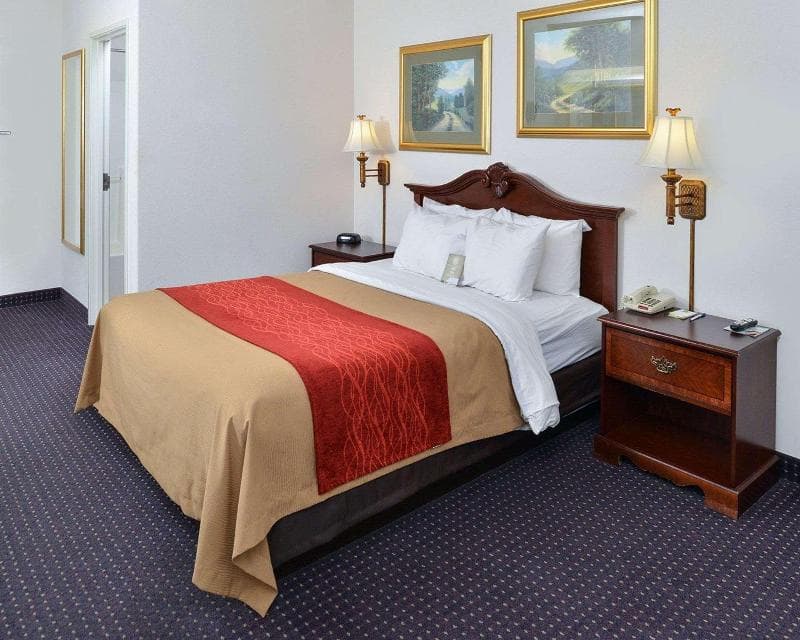 Comfort Inn & Suites 4